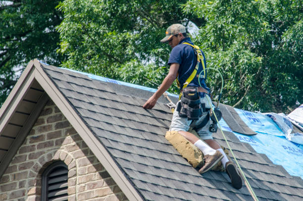 Best Residential Roof Replacement  in Sharon, WI